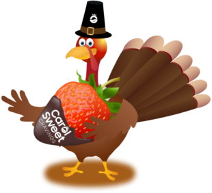 Thanksgiving_Turkey_Transparent_PNG_Image-v3